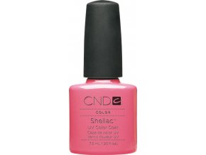 SHELLAC - gotcha 7,3 ml