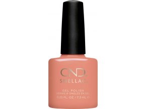SHELLAC UNINHIBITED