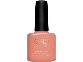 SHELLAC UNINHIBITED