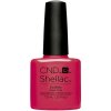 SHELLAC ECSTASY