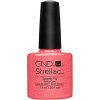 SHELLAC SPARKS FLY