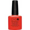 SHELLAC - electric orange 7,3 ml