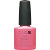 SHELLAC - gotcha 7,3 ml