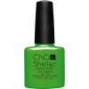 SHELLAC - lush tropics 7,3 ml