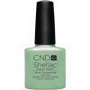 SHELLAC - mint convertible 7,3 ml