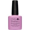 SHELLAC - beckoning begonia 7,3 ml