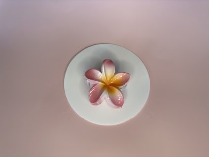 Skřipec - Tropická orchidej, růžová se žlutým středem