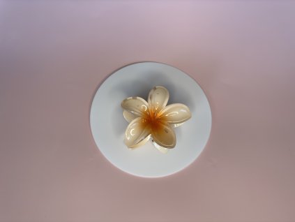 Skřipec - Tropická květina, oranžová