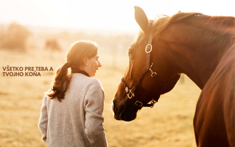 Všetko pre teba a tvojho koňa