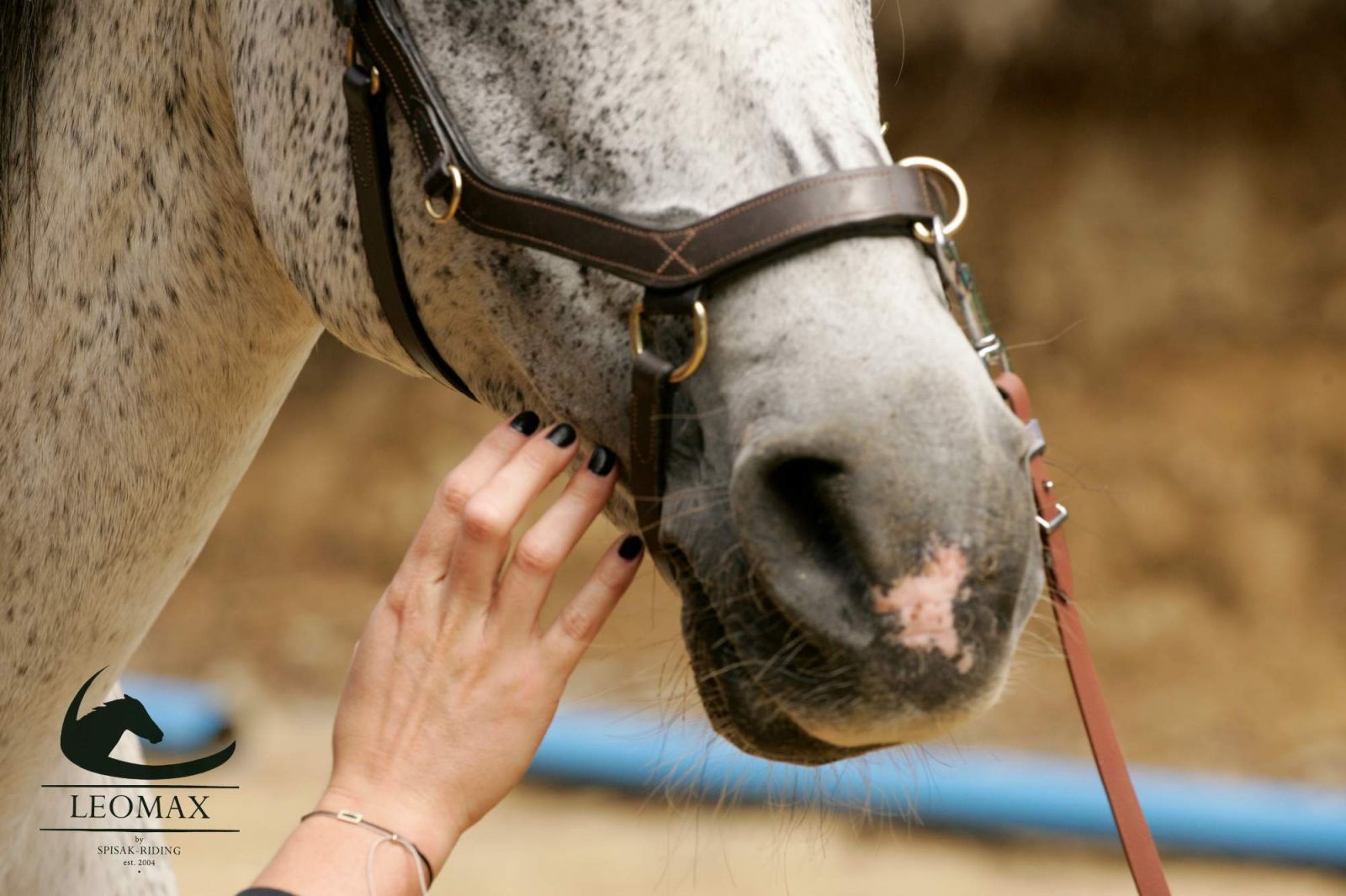 Vedia kone naozaj vycítiť strach?
