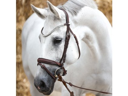 Uzdecka Everness Kavalkade