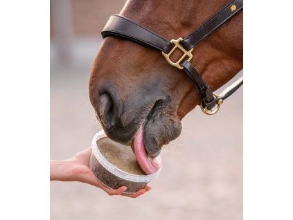 Lízatko pre kone stable snack