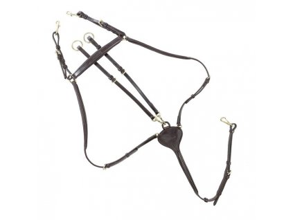 Kavalkade- Poprsák Lorenz