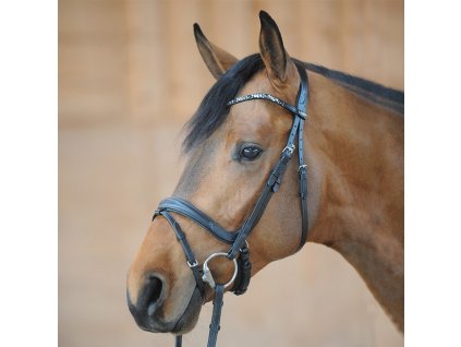 Kavalkade - Uzdečka Ivette