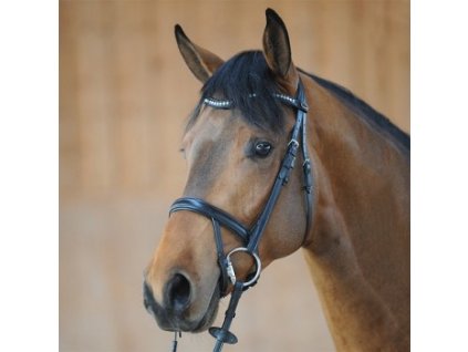 Kavalkade - Uzdečka Diana