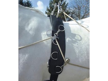 Waldhausen - Felix Brasseur Multi-Lonžovací obrušník