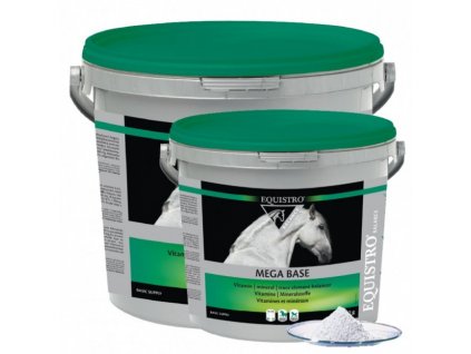 Equistro - MEGA BASE