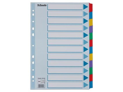 Register, laminovaný kartón, A4, 12 részes, ESSELTE "Mylar", farebný