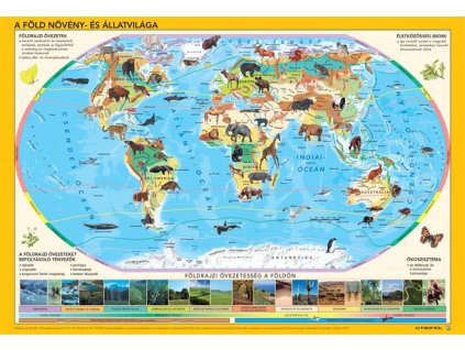 Podložka na stôl, obojstranná, STIEFEL "Világ állatai - Zvieratá sveta" - výrobok v MJ