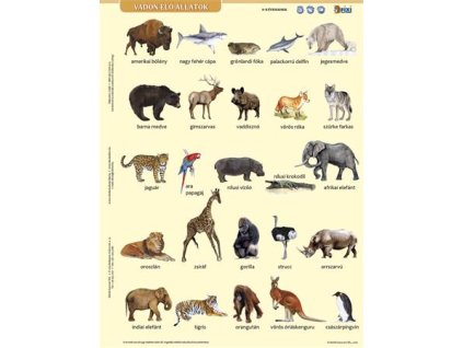 Študentská pomôcka, A4, STIEFEL" Divé zvieratá/Vadon élő állatok"  -výrobok v MJ