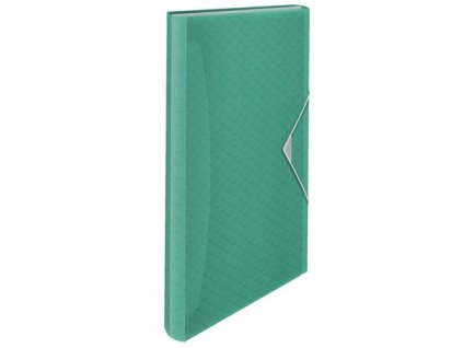Harmoniková doska, A4, PP, 6 priehradiek,  ESSELTE "Colour`Breeze", zelená