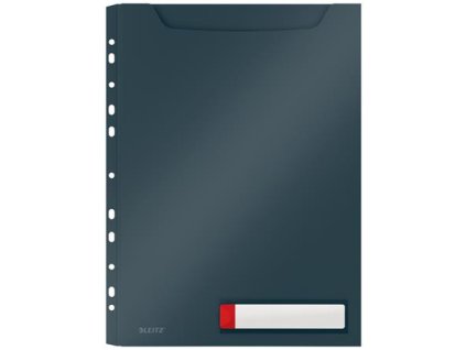 Euroobal, A4 maxi, LEITZ "Cosy Privacy", zamatová sivá