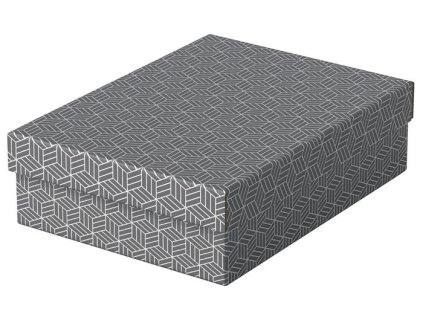 Úložný a darčekový box, ESSELTE "Home", sivý