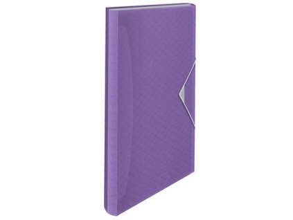 Harmoniková doska, A4, PP, 6 priehradiek, ESSELTE "Colour`Breeze", levanduľová