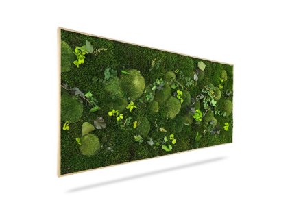 Machový obraz RASTLINY Mesia, 100x50cm, drevený čierny rám