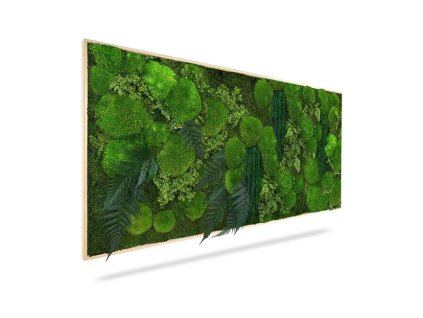 Machový obraz RASTLINY Moreilo, 60x40cm, drevený čierny rám