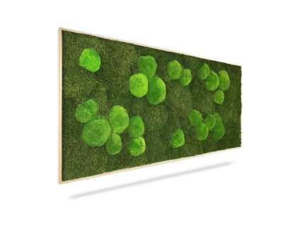 Machový obraz Light Green, 80x40cm, drevený svetlohnedý rám