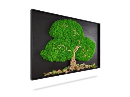 Machový obraz STROM ARLES, 120x60cm, drevený čierny rám