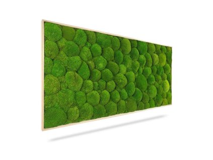 Machový obraz LIGHT, 120x80cm, drevený svetlohnedý rám