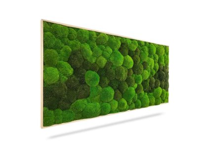 Machový obraz DUO Light Green, 100x50cm, drevený svetlohnedý rám