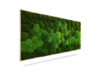 Machový obraz DUO Natural Green, 160x60cm, drevený čierny rám
