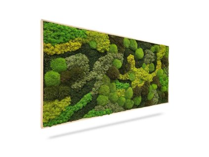 Machový obraz ORTHO TELDE, 100x60cm, drevený biely rám