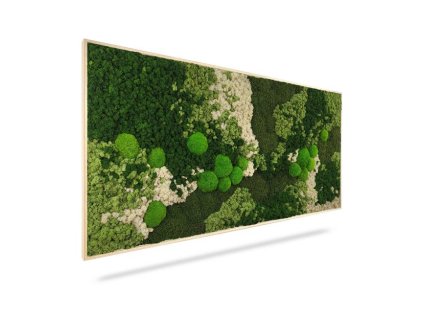 Machový obraz ORTHO FOREST, 40x40cm, drevený čierny rám