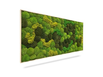 Machový obraz Light Anento, 120x60cm, drevený svetlohnedý rám