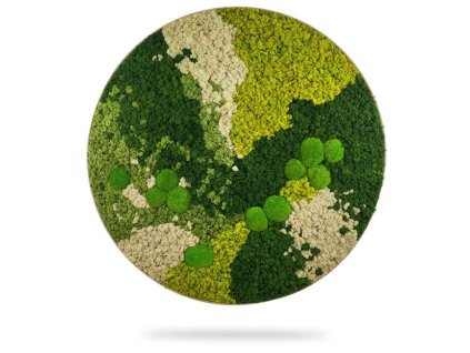 Machový obraz kruh ORTHO SPRING, priemer 40cm, dubový rám