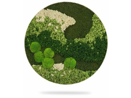 Machový obraz kruh ORTHO FOREST, priemer 55cm, dubový rám