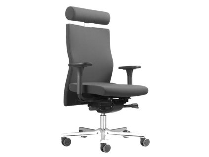 Balančná stolička LÖFFLER Lezgo LZ 73, A31 sivá