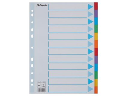 Register, kartón, A4, 12 dielny, popisovateľná predná strana, ESSELTE "Standard", farebný
