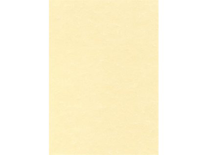 Predtlačený papier, A4, 95 g, pergamenový efekt, APLI, šampanské