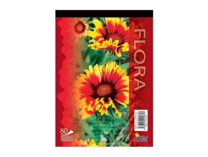 Blok A6 80 listov linajkový