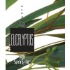 130779 4 spring air napln do osviezovaca eucalyptus spray 250ml
