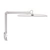 Stolová lampa, LED, nastaviteľná, s držiakom, MAUL "Work", biela
