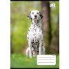 Zošit, A5, štvorčekový, 32 listov, COOL BY VICTORIA "B&W dogs", "27-32"