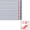 Register, plastový, A4 Maxi, 1-31, ESSELTE, sivý