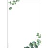 Predtlačený papier, obojstranný, A5, 90 g, SIGEL "Eucalyptus"