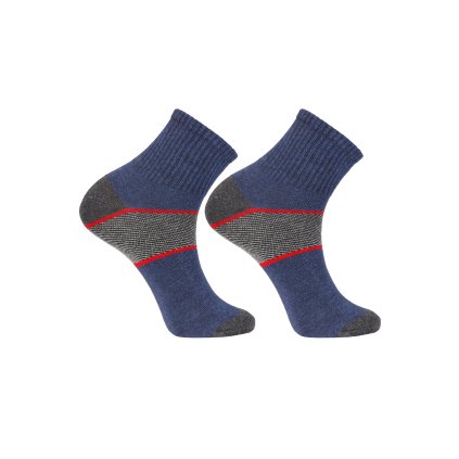 Pánské ponožky Moraj CSM200-073 (Velikost 39-42, Barva Modrá)